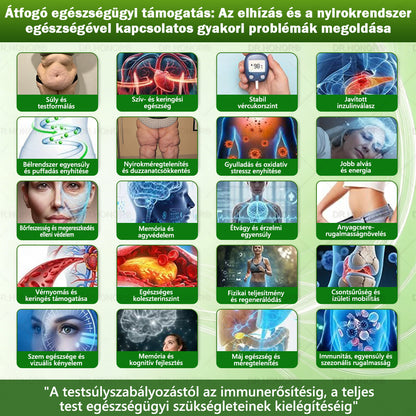 🌱【2026 Továbbfejlesztett Verzió｜-80% Kedvezmény】𝐃𝐑.𝐇𝐎𝐍𝐎𝐑® Nyirokdrenázs Nano-Mikrotűs Tapasz 🔥 5× erősebb formula Támogatja a zsírégetést, a nyirokkeringést, az ízületi komfortot és a pihentető alvást.