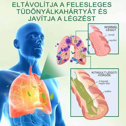 🌱BSWELL®  Fejlett Tüdőtisztító Spray -Támogatja a tüdő, a hörgők és az orrmelléküregek egészségét, elősegíti a légzőrendszer egészségét és a könnyebb légzést
