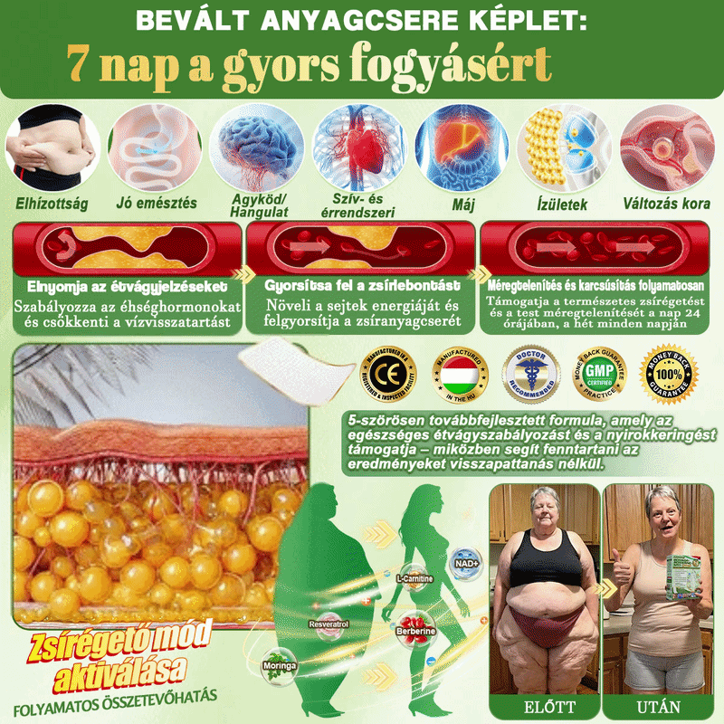 🌱【2026 Továbbfejlesztett Verzió｜-80% Kedvezmény】𝐃𝐑.𝐇𝐎𝐍𝐎𝐑® Nyirokdrenázs Nano-Mikrotűs Tapasz 🔥 5× erősebb formula Támogatja a zsírégetést, a nyirokkeringést, az ízületi komfortot és a pihentető alvást.