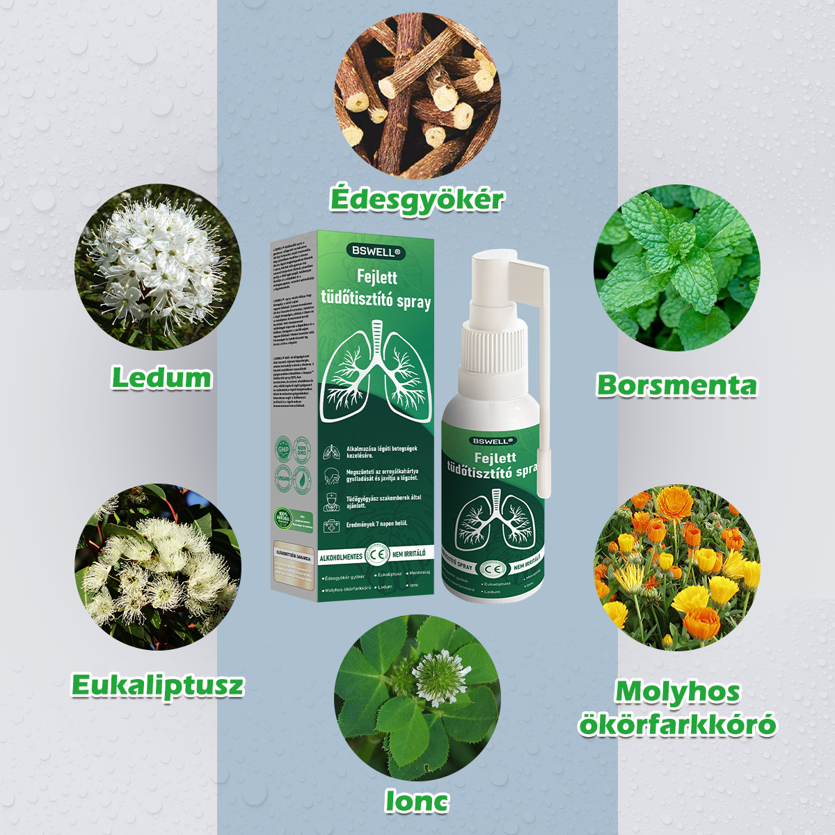 🌱BSWELL®  Fejlett Tüdőtisztító Spray -Támogatja a tüdő, a hörgők és az orrmelléküregek egészségét, elősegíti a légzőrendszer egészségét és a könnyebb légzést